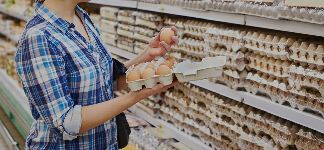 توريد بيض المائدة للمحلات والأسواق