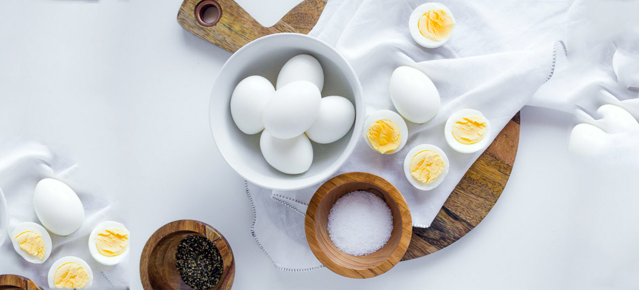 منتجات البيض عالية الجودة