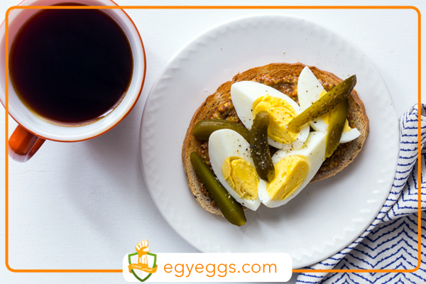 فوائد تناول البيض المسلوق يوميا وبطريقة معتدله