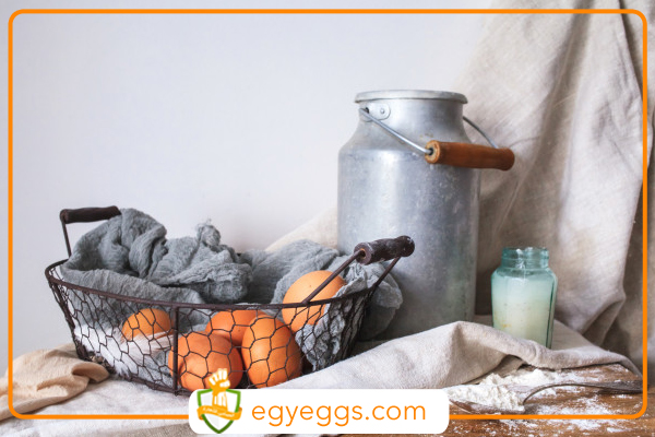 هل من الخطأ تناول البيض واللبن والسمك أثناء الإصابة بنزلات البرد والإنفلونزا ؟