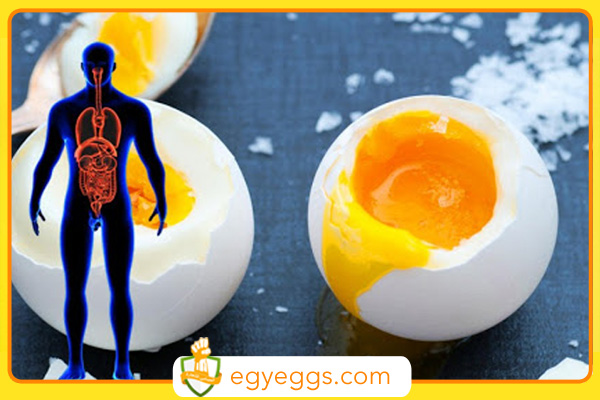 فوائد مثيرة قد لا تعرفها عن البيض، لنضارة البشرة وتقوية جهاز المناعة والجهازالتناسلي!