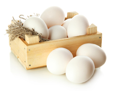 بورصة الحمامي لتجارة البيض